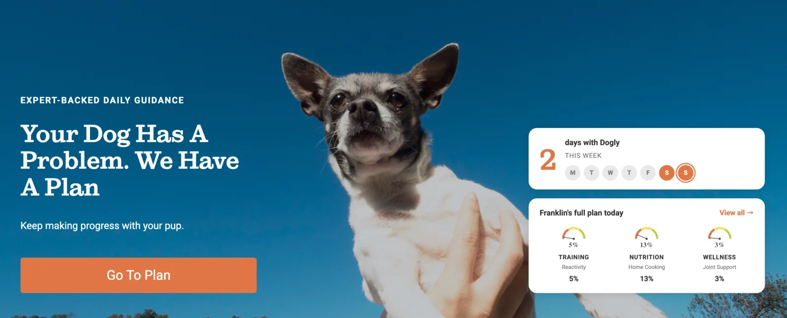 The member homepage hero pairs personalized daily-plan progress with a focused return action.