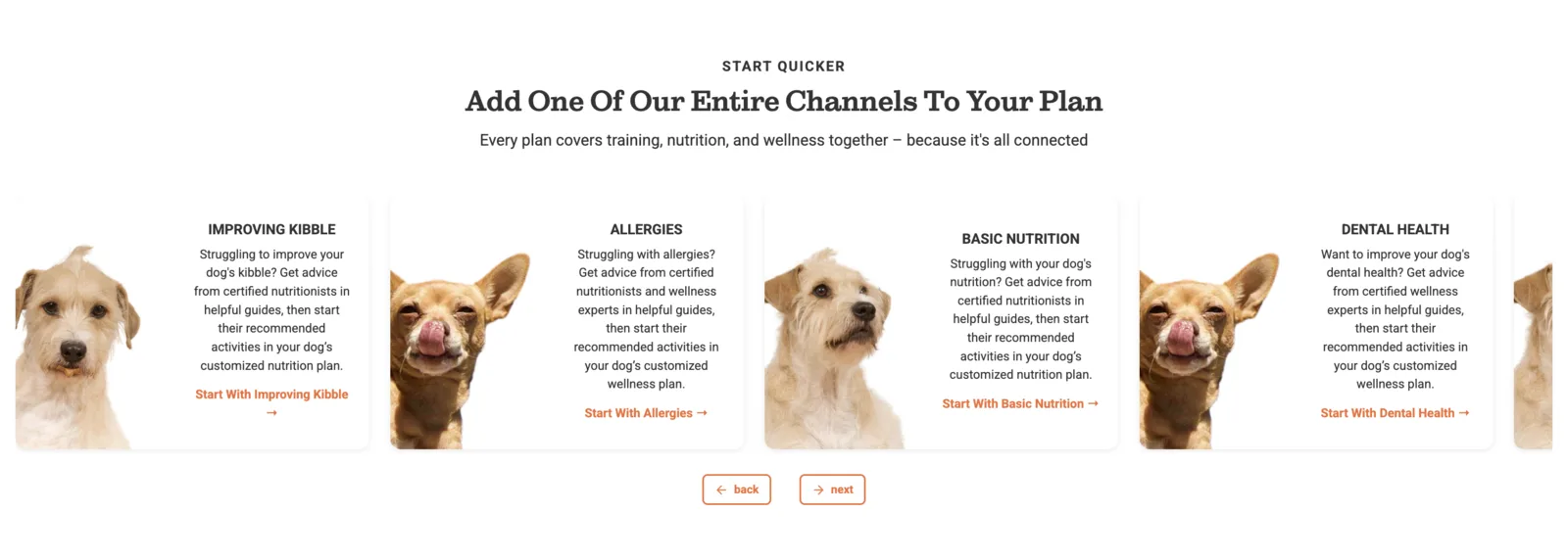 A visitor homepage turns common concerns into concrete starting points for a personalized plan.
