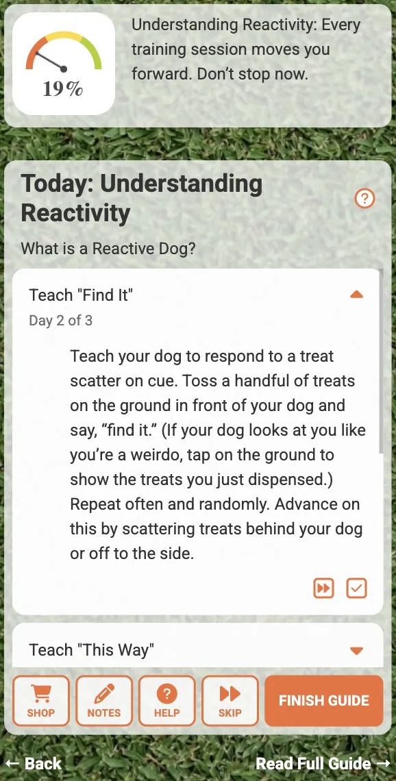 The same daily-guide system reorganized for a narrow mobile viewport.