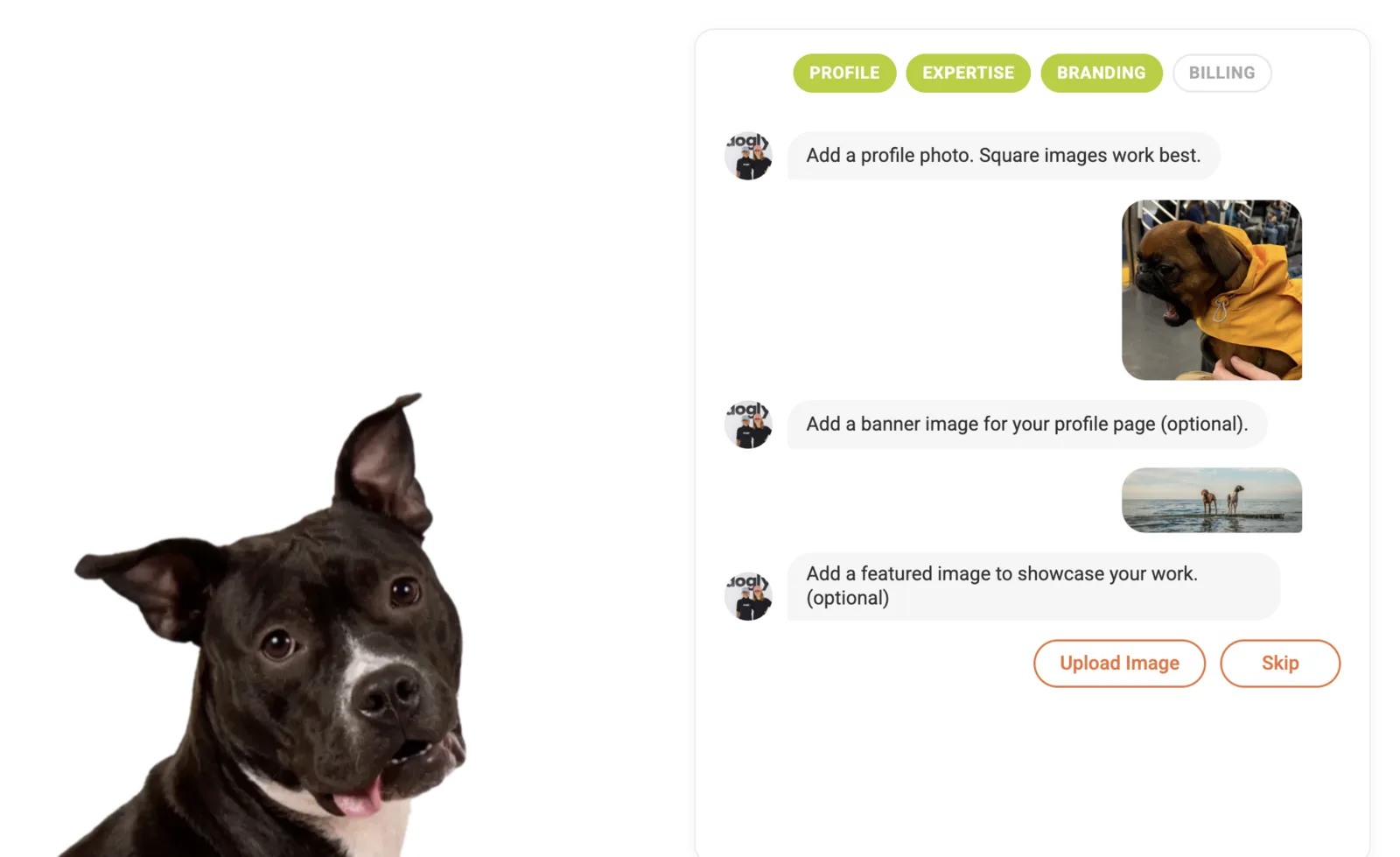 The Branding step previews uploaded profile and banner imagery within the guided flow.