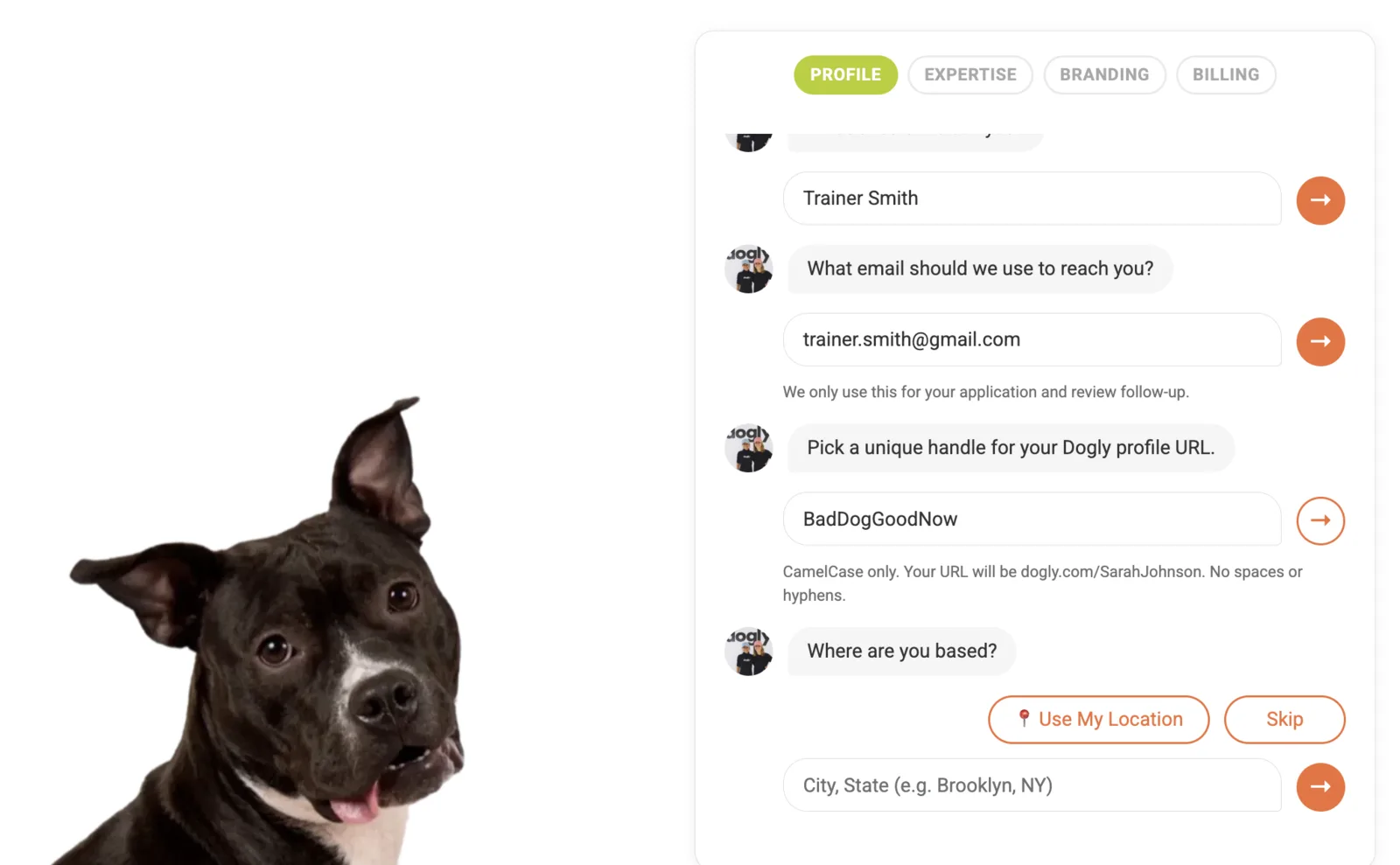 The Profile step progressively collects identity, contact, handle, and location information.
